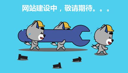 <b>哪些网站设计方式不适合seo推广和优化</b>